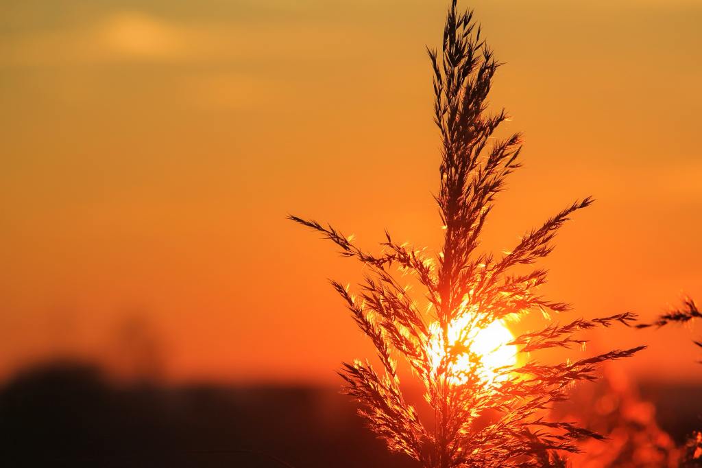 Amsterdam Green Energie regelt de financiering om uw woning of gebouw te verduurzamen